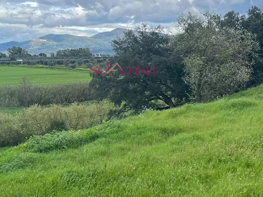 Immagine 27 di Rustico / casale in vendita  a Roccastrada