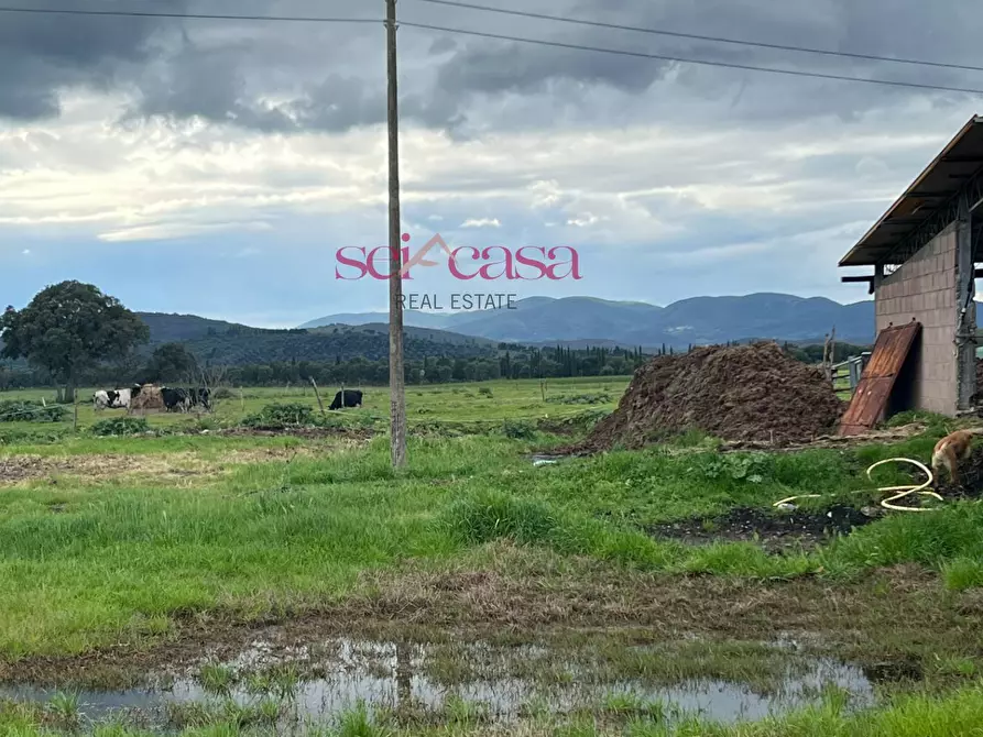 Immagine 29 di Rustico / casale in vendita  a Roccastrada