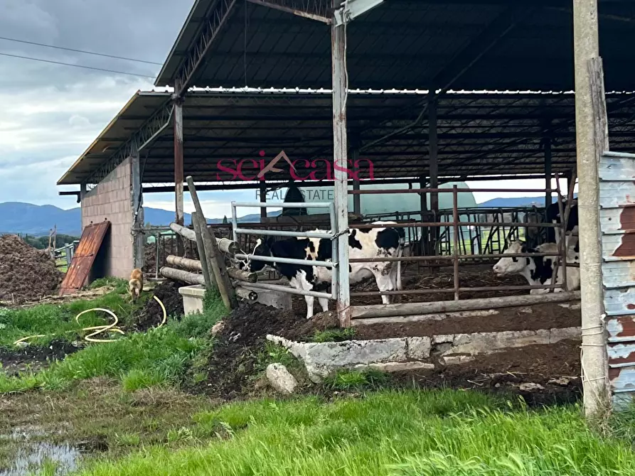 Immagine 30 di Rustico / casale in vendita  a Roccastrada