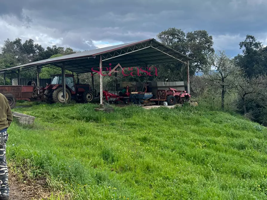 Immagine 32 di Rustico / casale in vendita  a Roccastrada