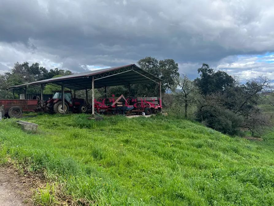 Immagine 33 di Rustico / casale in vendita  a Roccastrada