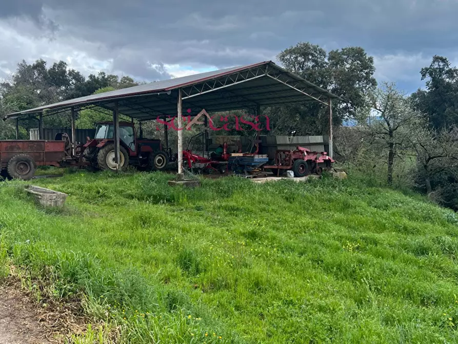 Immagine 34 di Rustico / casale in vendita  a Roccastrada