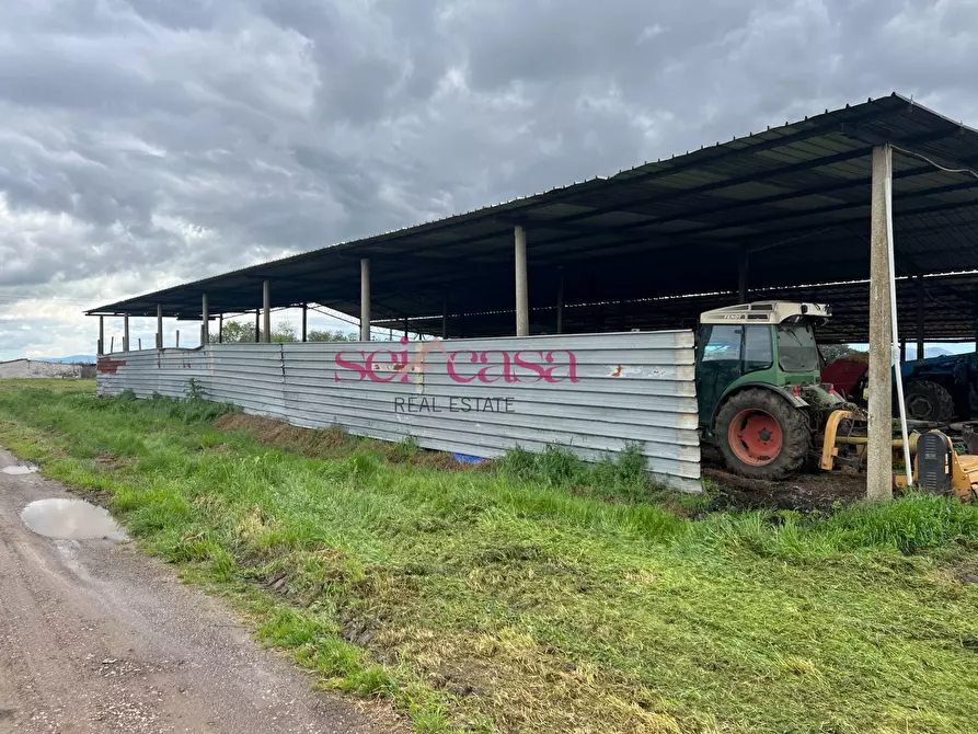 Immagine 35 di Rustico / casale in vendita  a Roccastrada