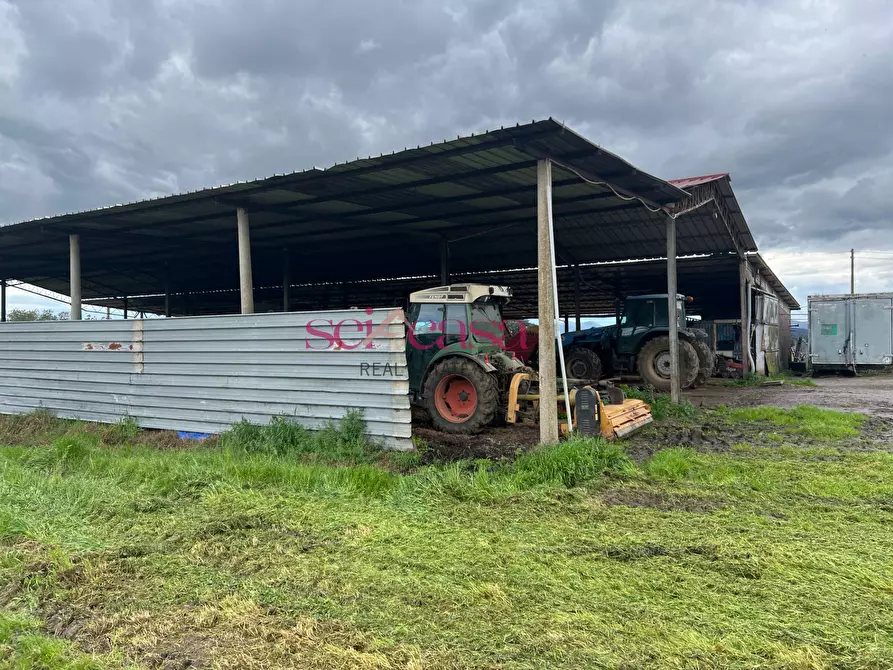 Immagine 36 di Rustico / casale in vendita  a Roccastrada