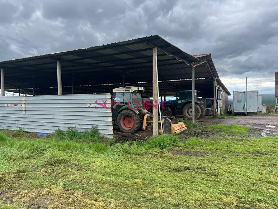 Immagine 37 di Rustico / casale in vendita  a Roccastrada