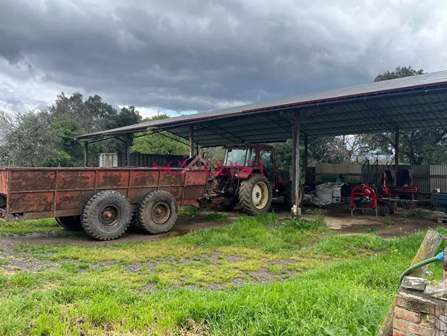 Immagine 38 di Rustico / casale in vendita  a Roccastrada