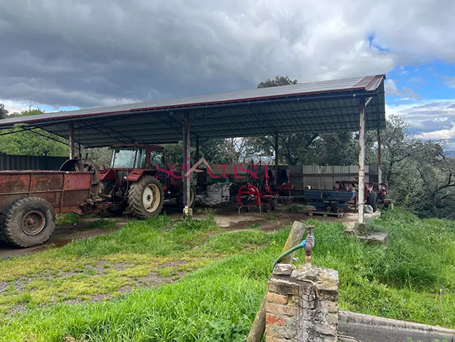 Immagine 39 di Rustico / casale in vendita  a Roccastrada