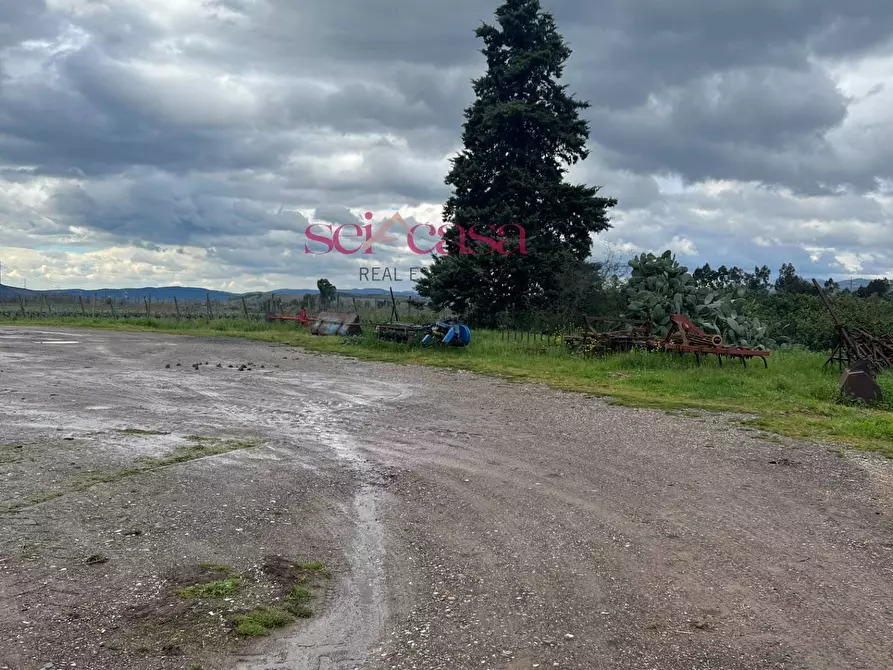 Immagine 40 di Rustico / casale in vendita  a Roccastrada