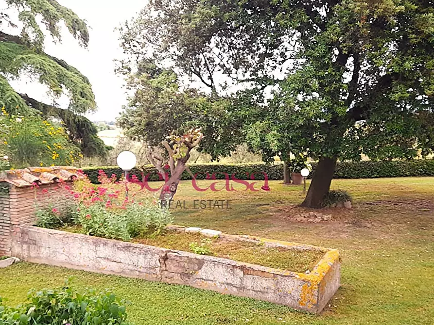 Immagine 8 di Rustico / casale in vendita  a Campagnatico