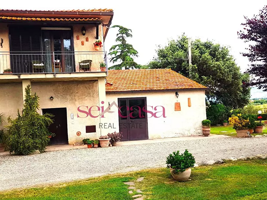 Immagine 3 di Rustico / casale in vendita  a Campagnatico