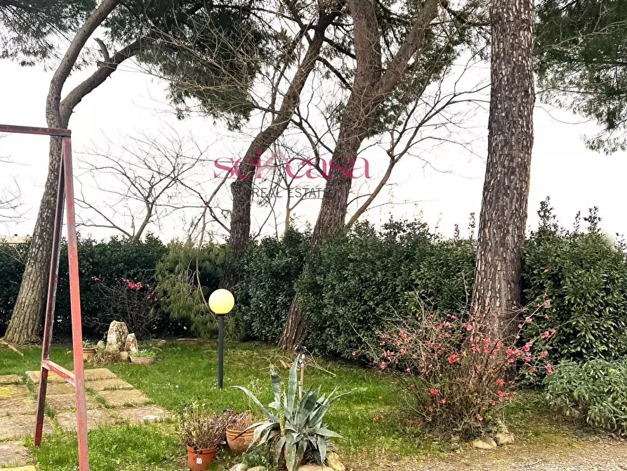 Immagine 10 di Rustico / casale in vendita  a Campagnatico