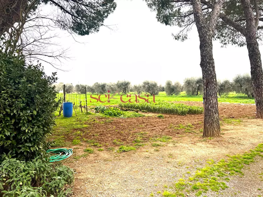 Immagine 13 di Rustico / casale in vendita  a Campagnatico