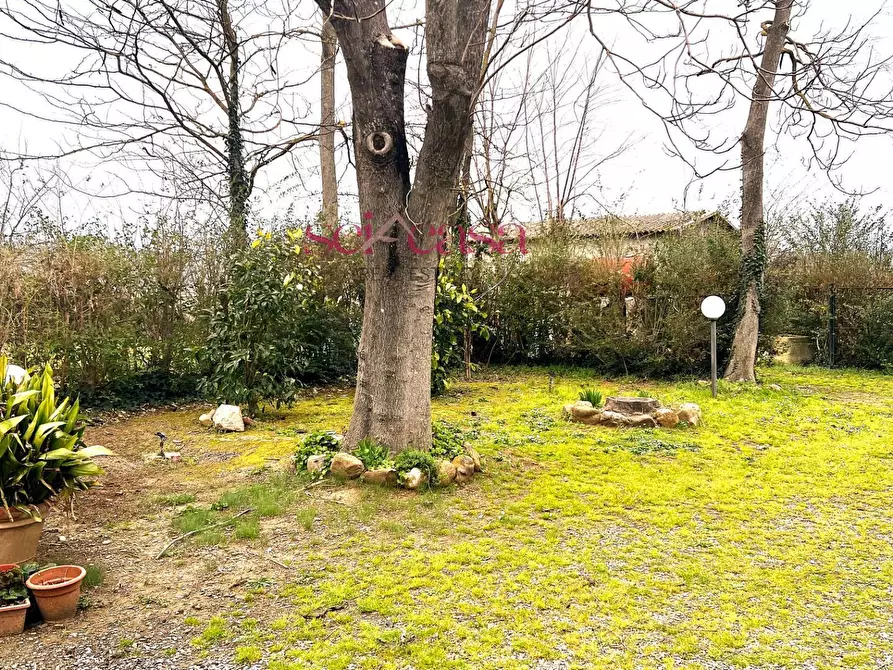 Immagine 14 di Rustico / casale in vendita  a Campagnatico