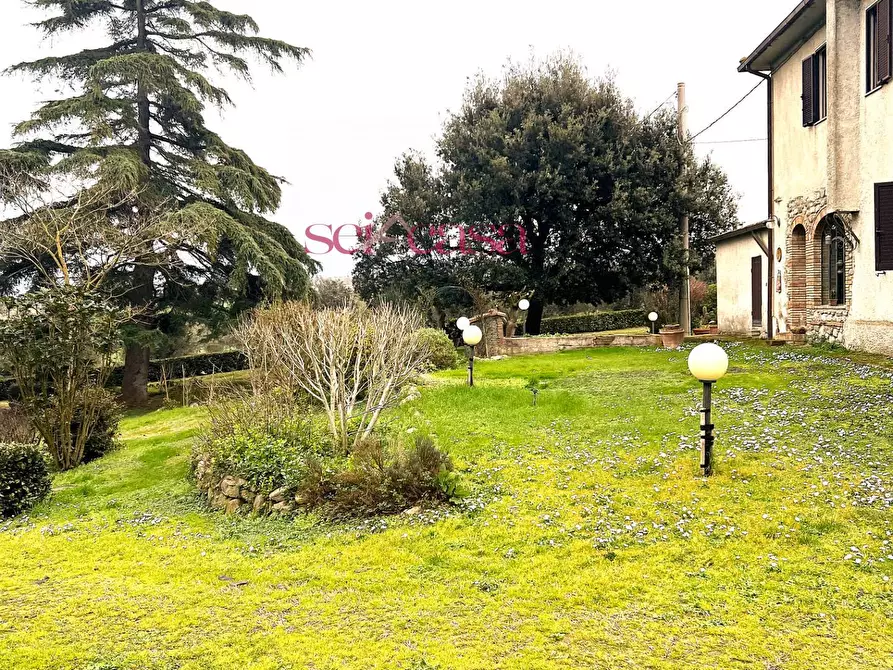 Immagine 5 di Rustico / casale in vendita  a Campagnatico