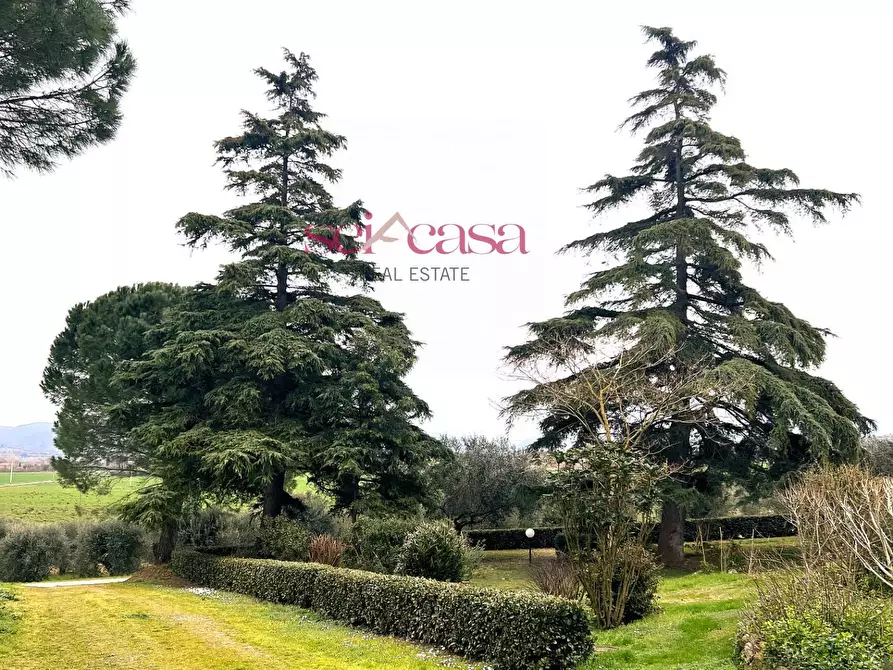 Immagine 6 di Rustico / casale in vendita  a Campagnatico