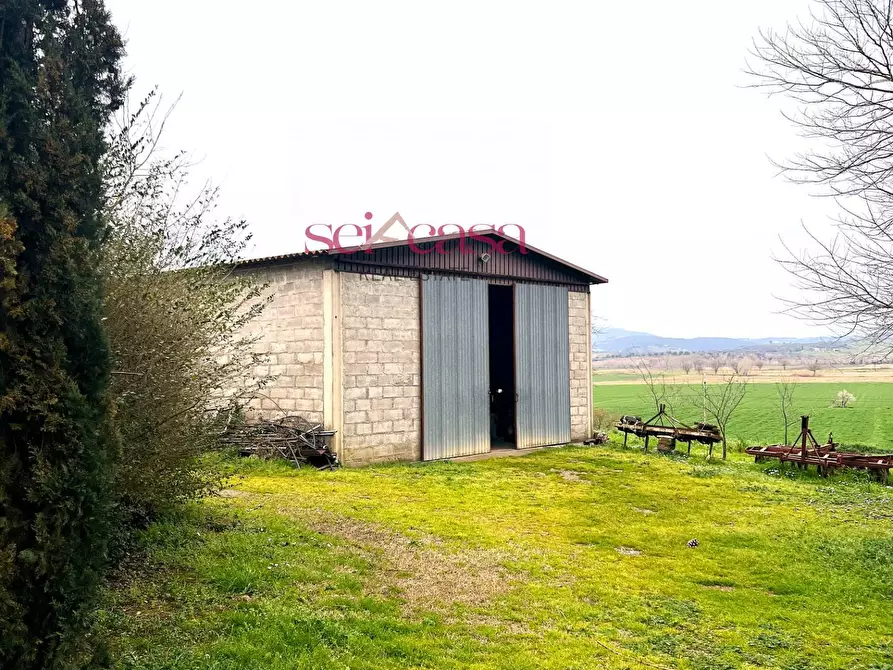 Immagine 15 di Rustico / casale in vendita  a Campagnatico