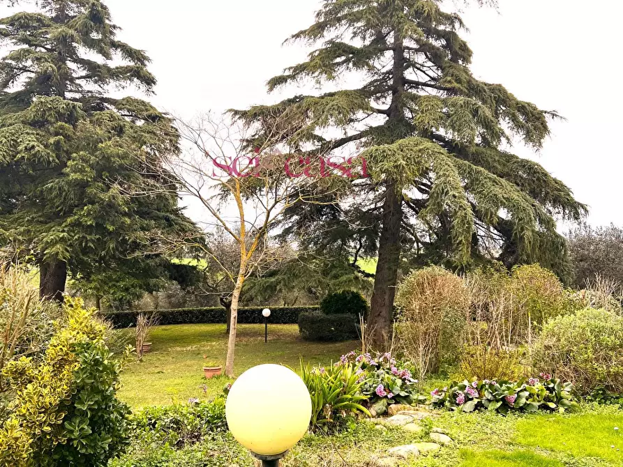 Immagine 7 di Rustico / casale in vendita  a Campagnatico