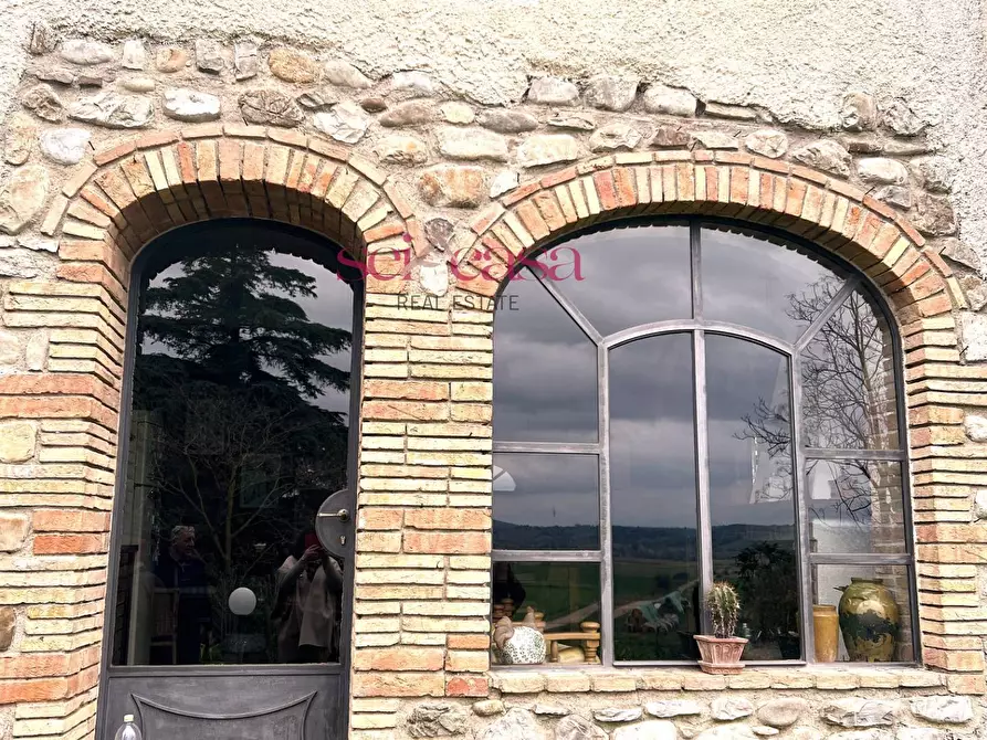 Immagine 4 di Rustico / casale in vendita  a Campagnatico