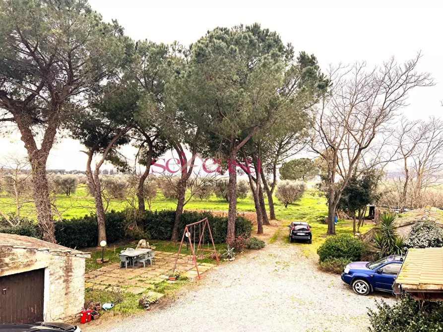 Immagine 17 di Rustico / casale in vendita  a Campagnatico