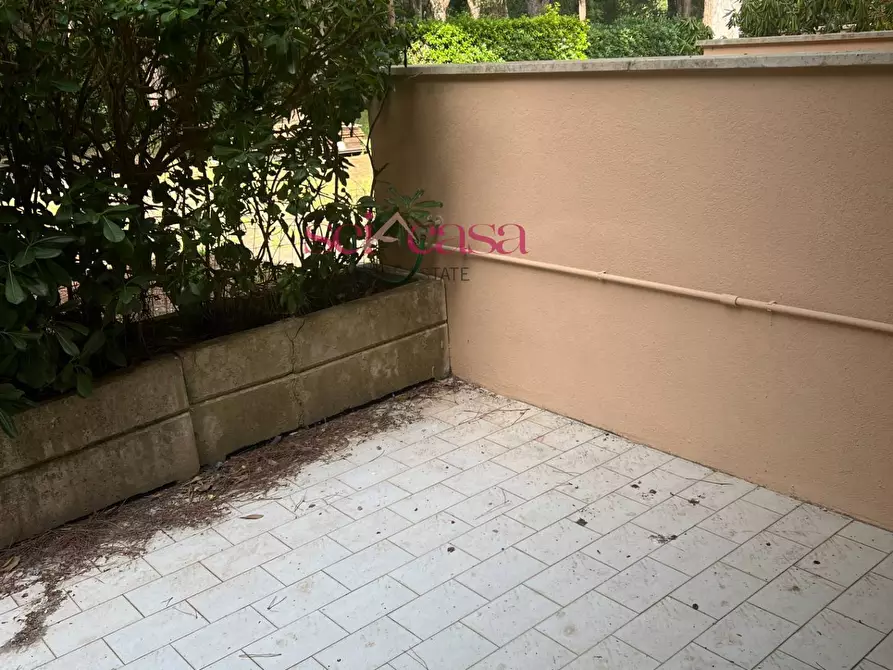 Immagine 5 di Appartamento in vendita  a Grosseto