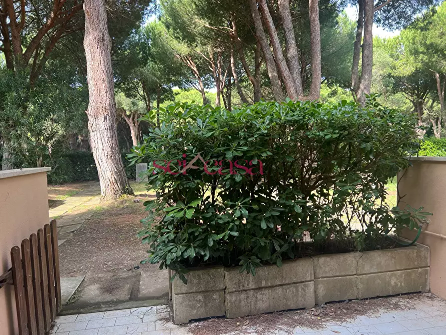 Immagine 6 di Appartamento in vendita  a Grosseto