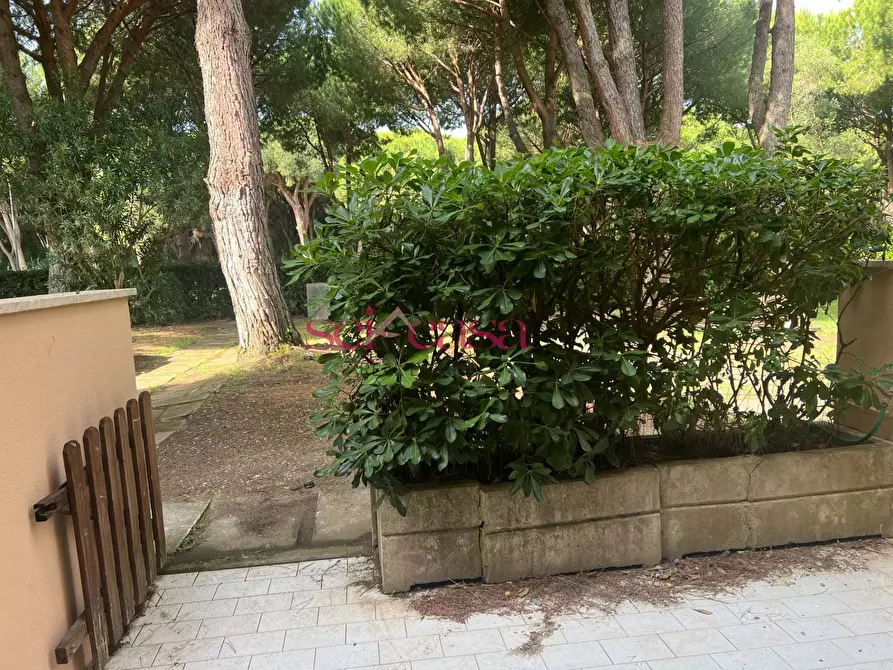 Immagine 7 di Appartamento in vendita  a Grosseto