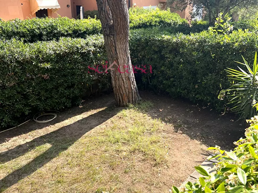 Immagine 2 di Casa indipendente in vendita  a Castiglione Della Pescaia