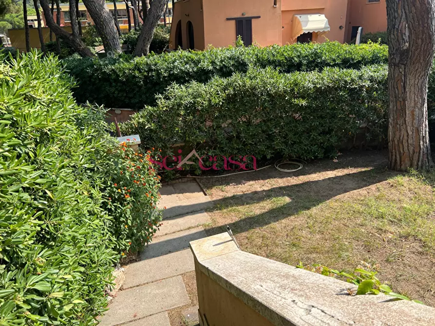 Immagine 3 di Casa indipendente in vendita  a Castiglione Della Pescaia