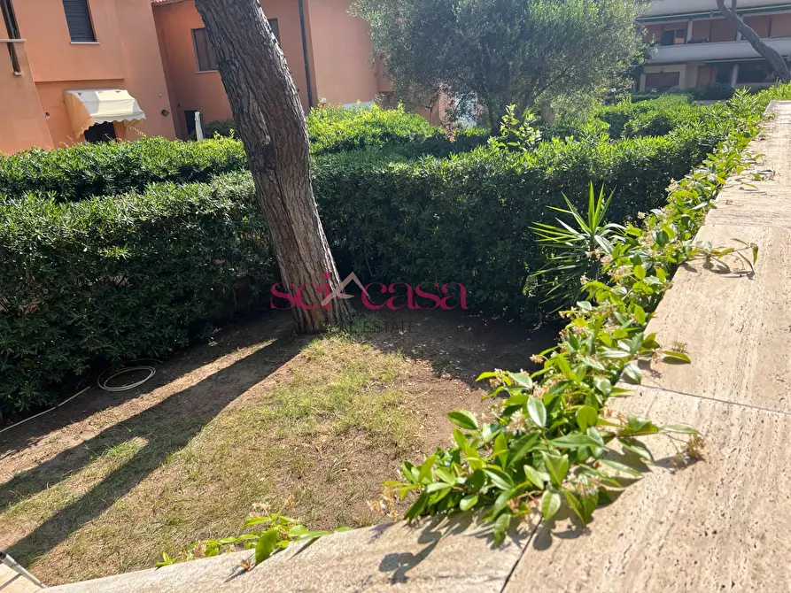 Immagine 4 di Casa indipendente in vendita  a Castiglione Della Pescaia