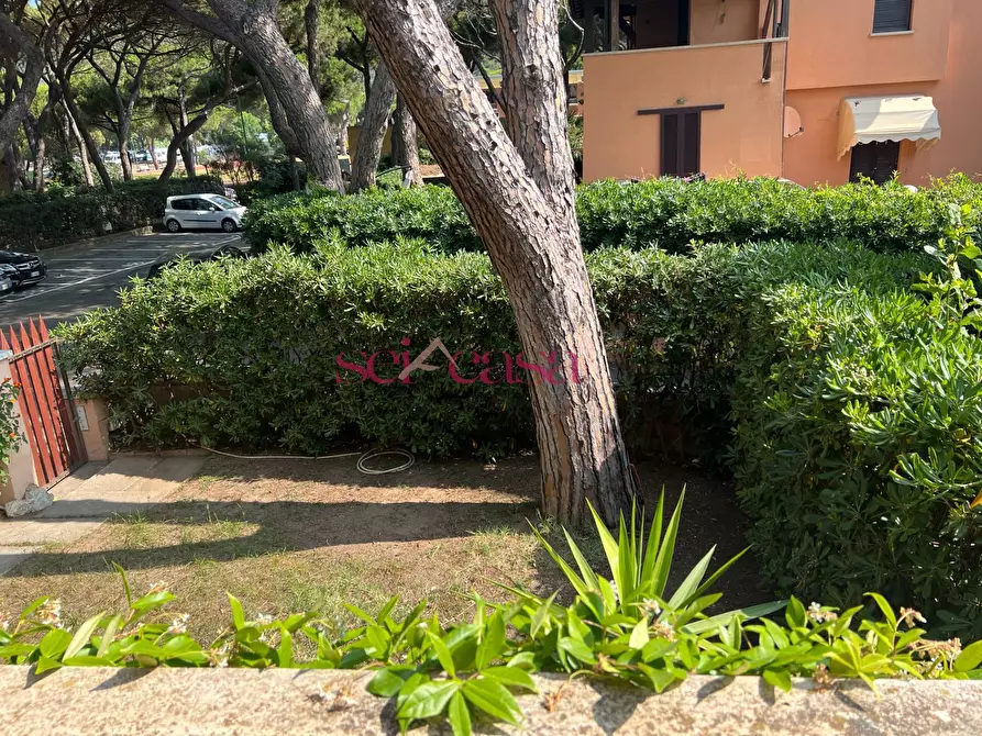 Immagine 6 di Casa indipendente in vendita  a Castiglione Della Pescaia