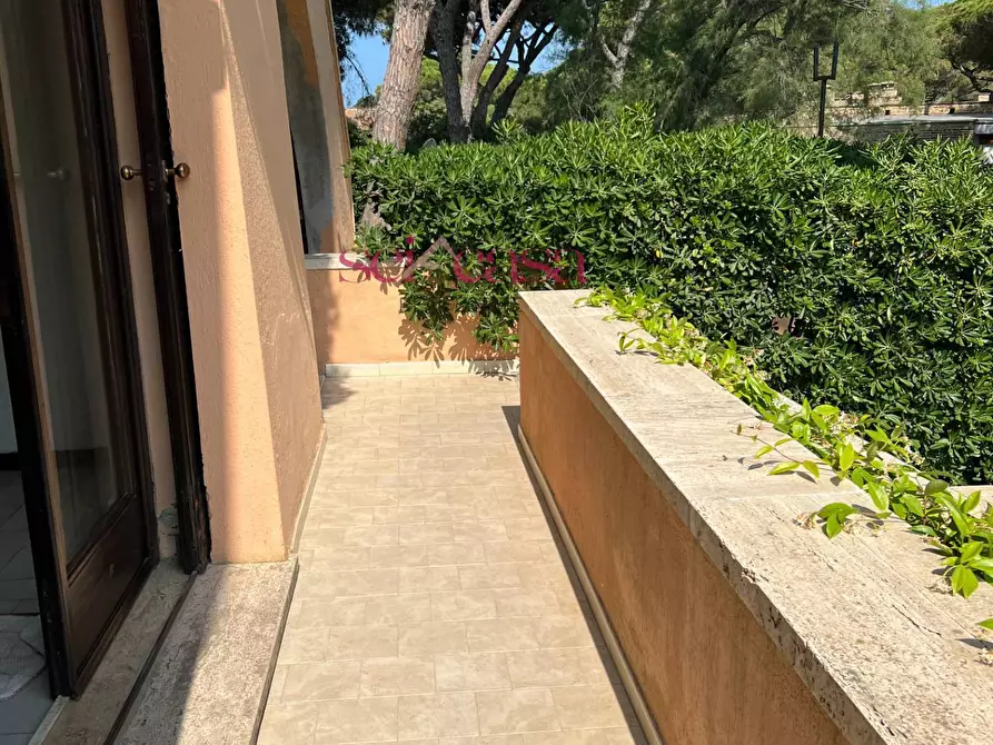 Immagine 7 di Casa indipendente in vendita  a Castiglione Della Pescaia