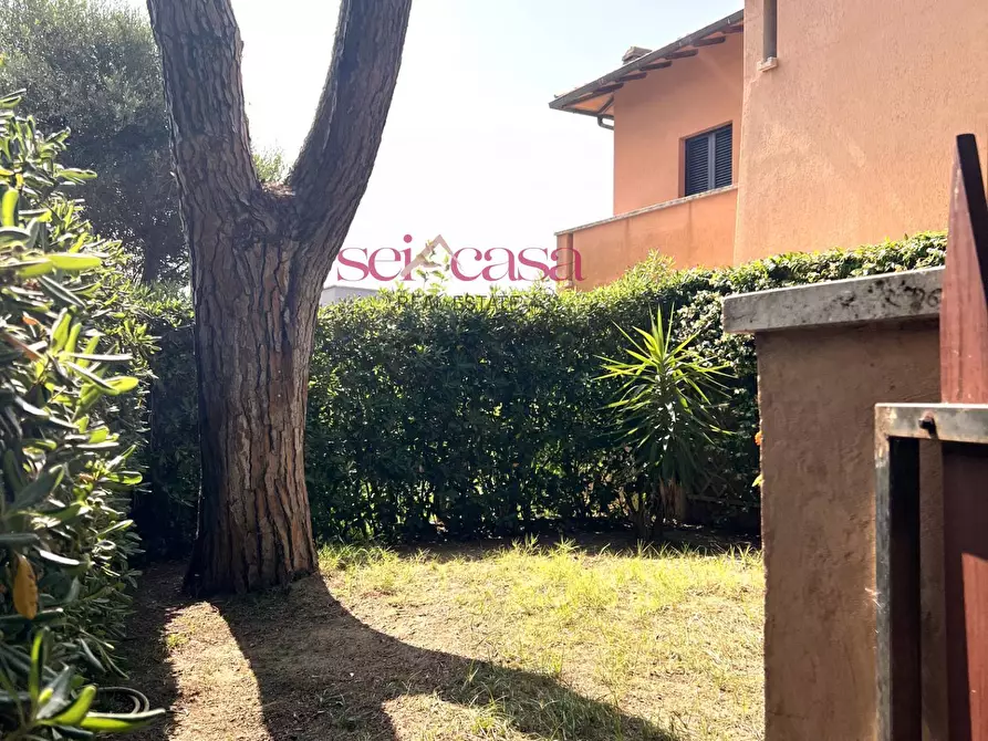 Immagine 34 di Casa indipendente in vendita  a Castiglione Della Pescaia