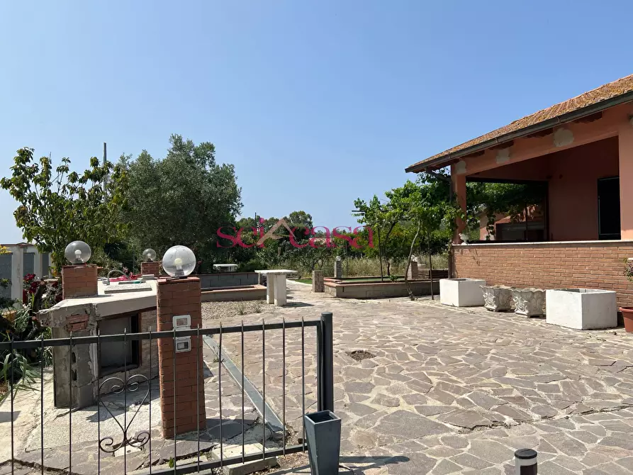 Immagine 3 di Villa in vendita  a Grosseto