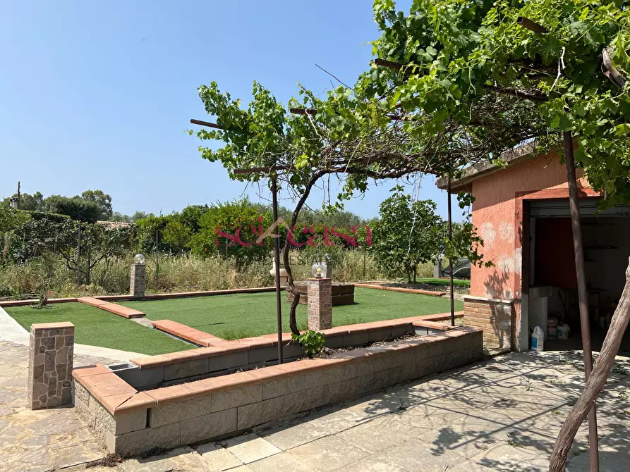 Immagine 4 di Villa in vendita  a Grosseto