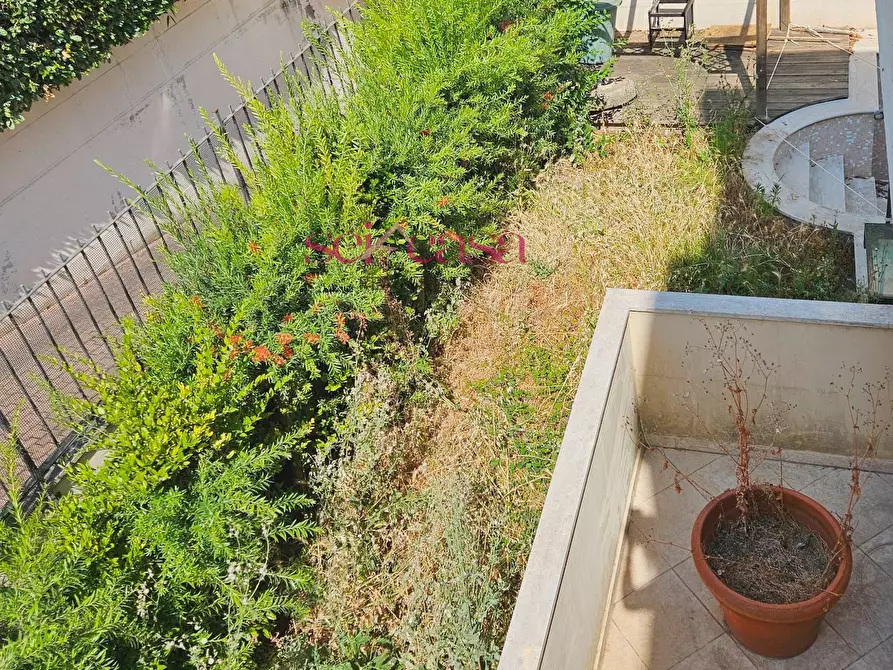 Immagine 26 di Villa in vendita  a Grosseto