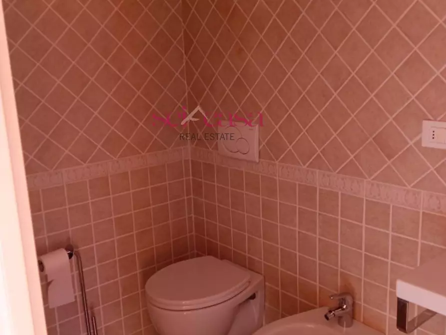 Immagine 18 di Appartamento in vendita  a Castagneto Carducci