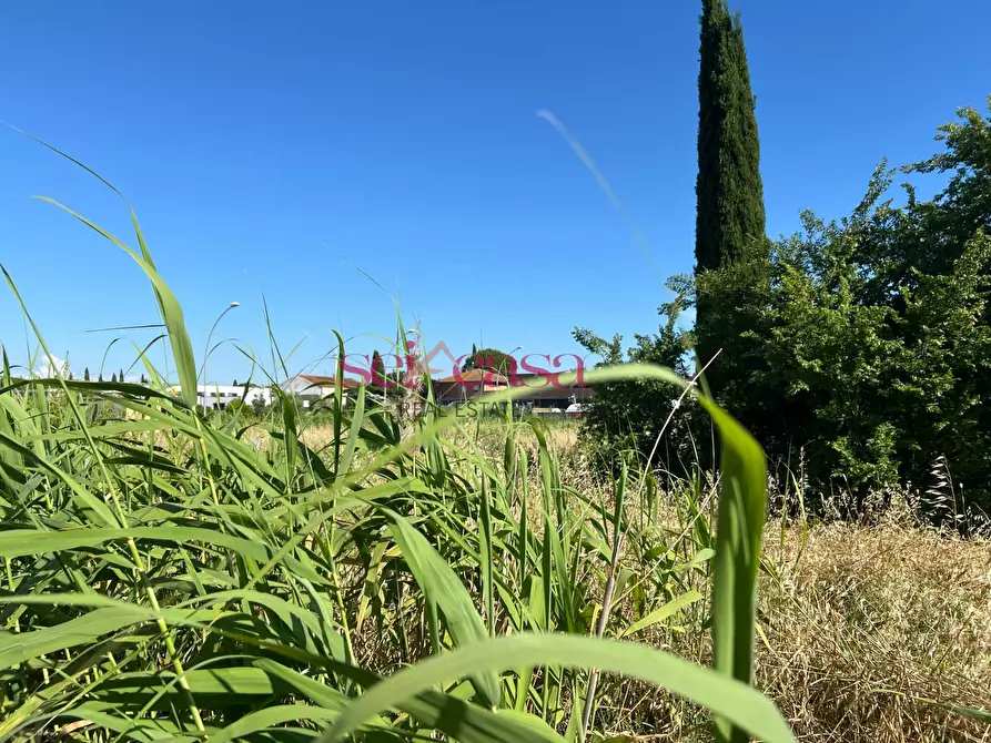 Immagine 1 di Terreno residenziale in vendita  a Grosseto