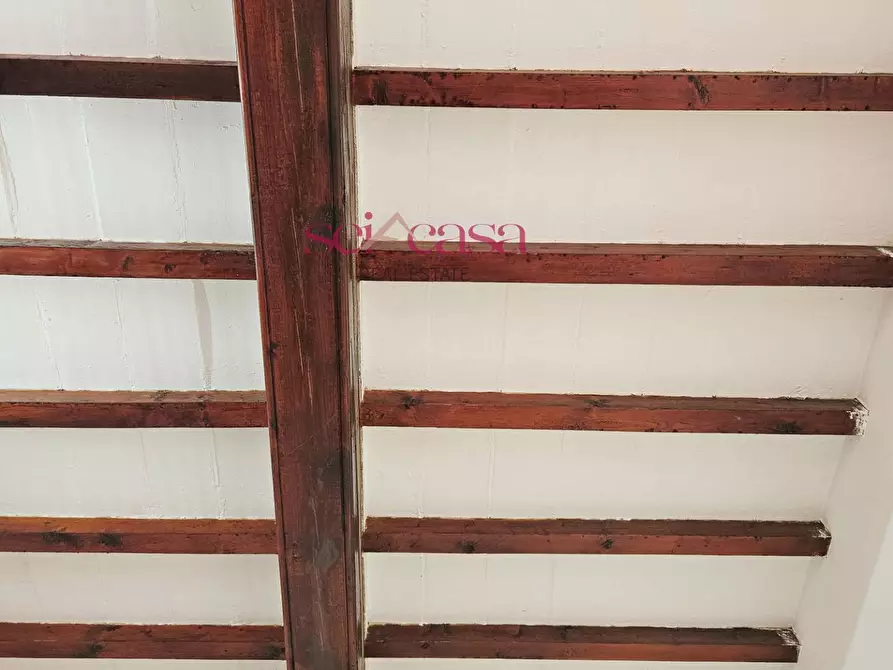 Immagine 9 di Appartamento in vendita  a Grosseto