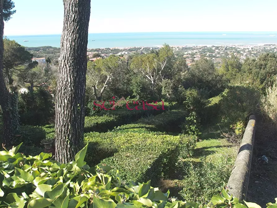 Immagine 20 di Villa in vendita  a Livorno