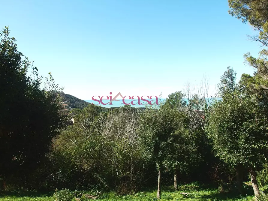 Immagine 25 di Villa in vendita  a Livorno