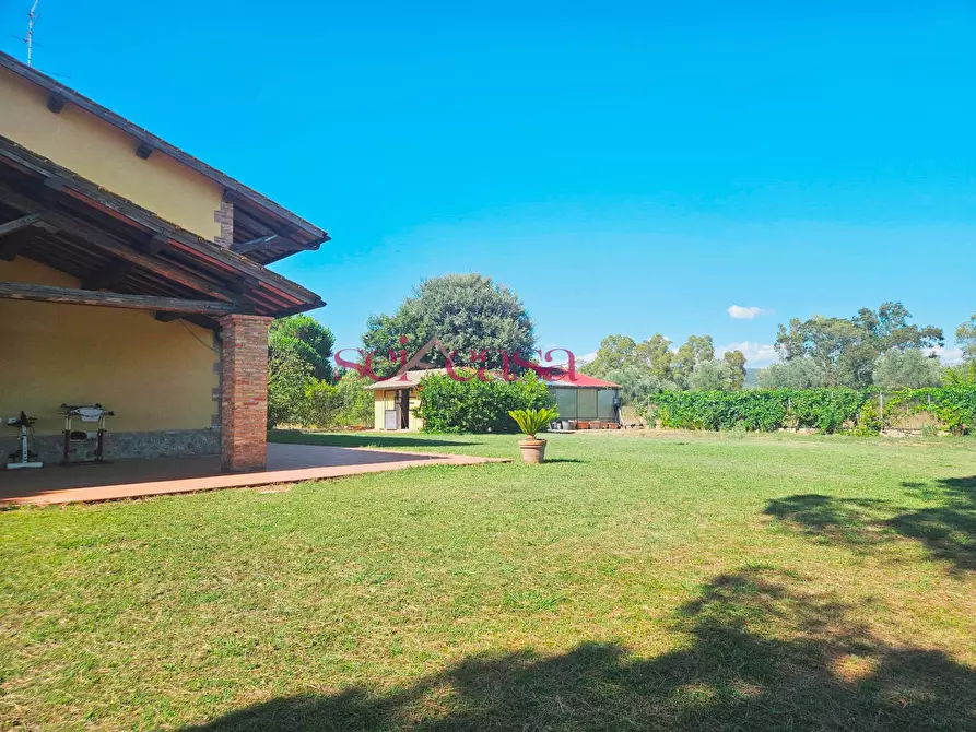 Immagine 5 di Rustico / casale in vendita  a Grosseto