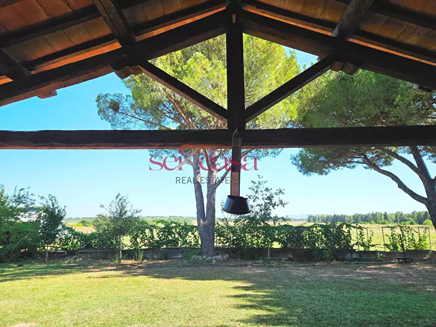 Immagine 6 di Rustico / casale in vendita  a Grosseto