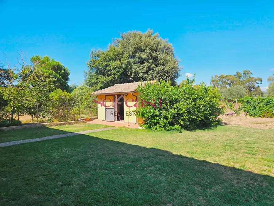 Immagine 8 di Rustico / casale in vendita  a Grosseto