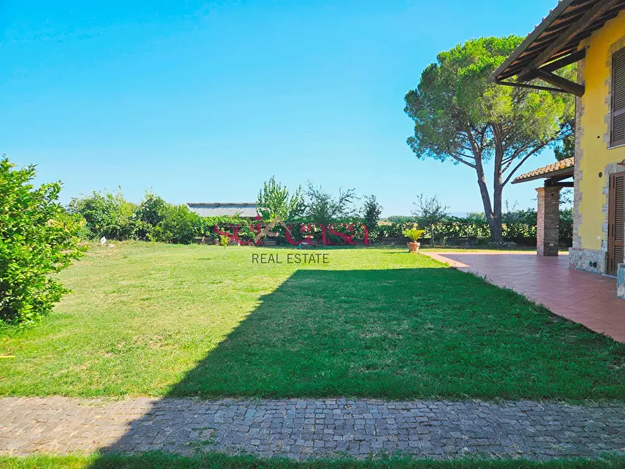 Immagine 9 di Rustico / casale in vendita  a Grosseto