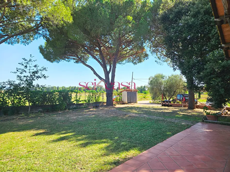 Immagine 10 di Rustico / casale in vendita  a Grosseto