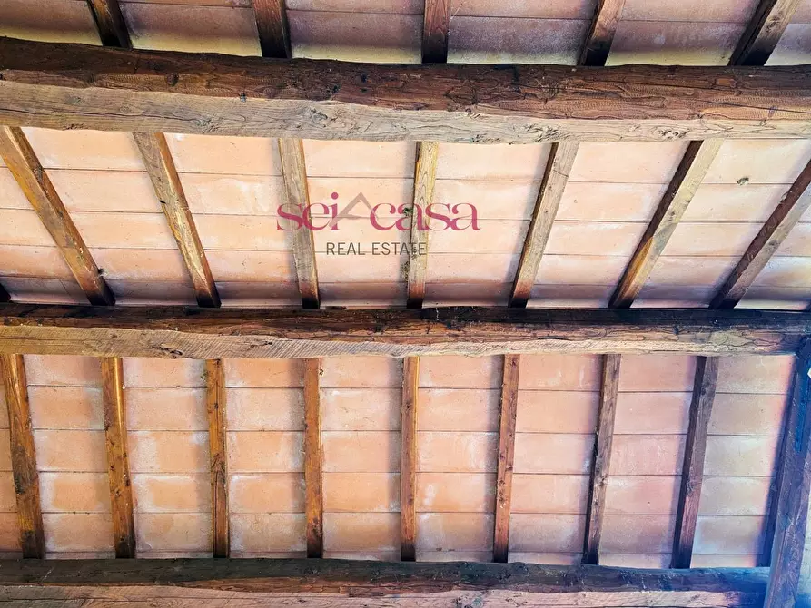 Immagine 7 di Rustico / casale in vendita  a Grosseto