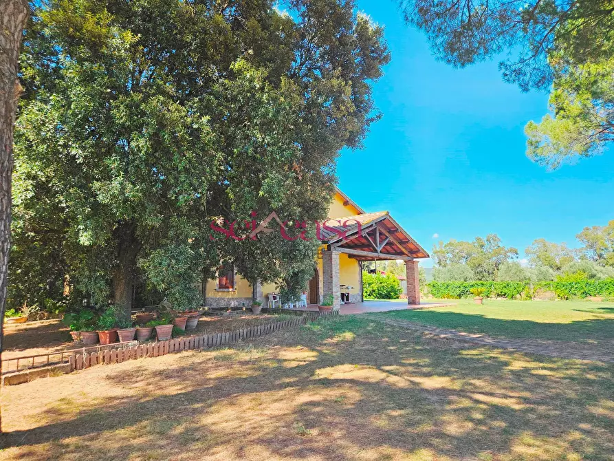 Immagine 2 di Rustico / casale in vendita  a Grosseto