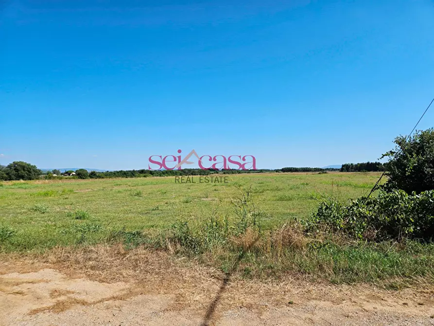 Immagine 35 di Rustico / casale in vendita  a Grosseto