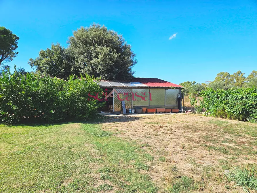 Immagine 34 di Rustico / casale in vendita  a Grosseto