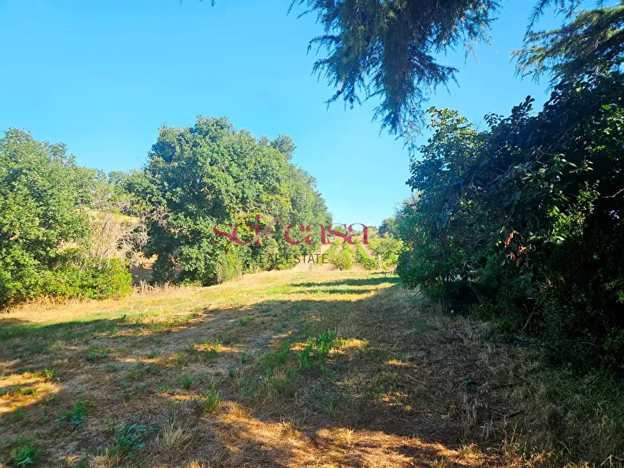 Immagine 33 di Rustico / casale in vendita  a Campagnatico